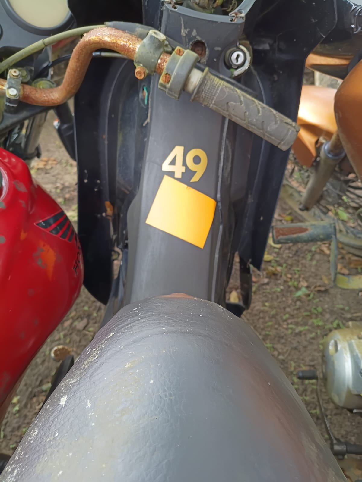 Lote 49 — DAFRA/ZIG