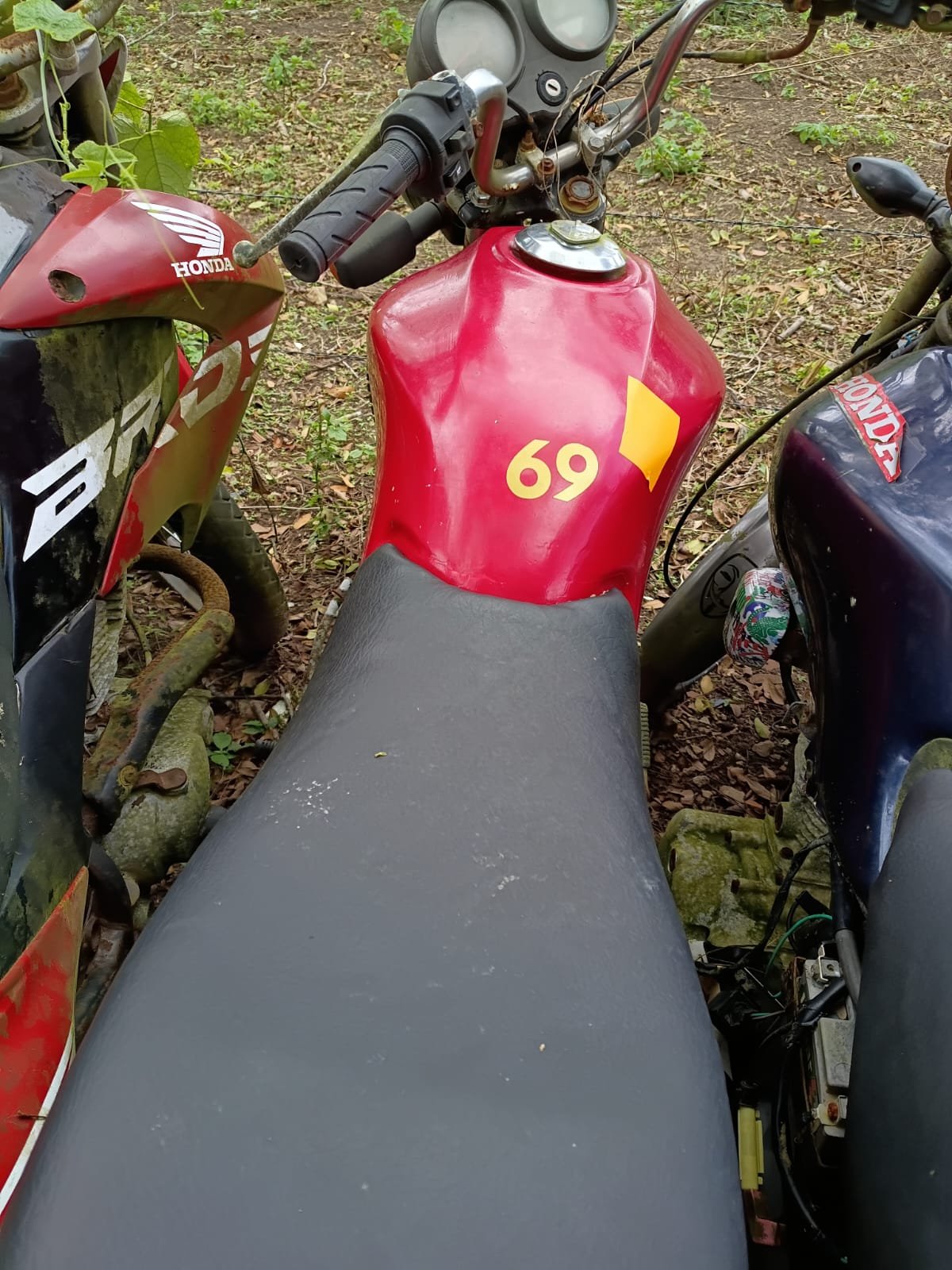 Lote 71 — HONDA/POP100